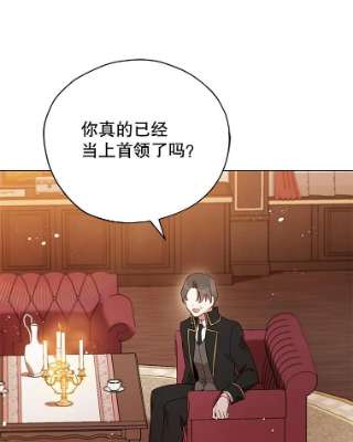 不可接近的女士27.殷勤