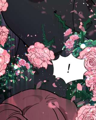 不可接近的女士27.殷勤