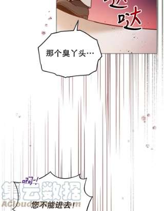 不可接近的女士28.母亲的到访
