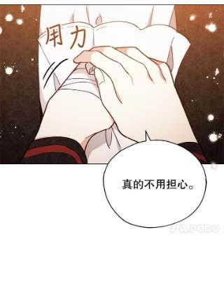 不可接近的女士29.前任首领