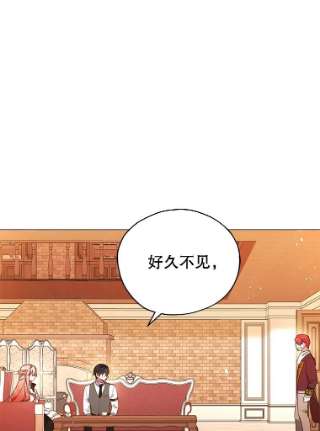 不可接近的女士29.前任首领