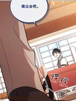 不可接近的女士29.前任首领