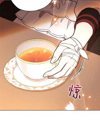 不可接近的女士29.前任首领