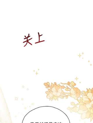 不可接近的女士29.前任首领