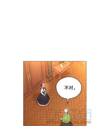 不可接近的女士29.前任首领
