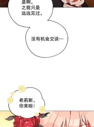 不可接近的女士29.前任首领