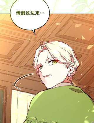 不可接近的女士29.前任首领