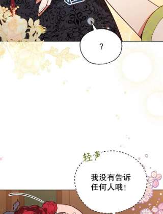 不可接近的女士30.老狐狸