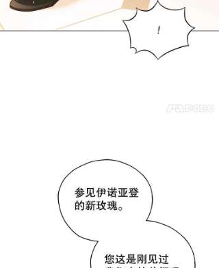 不可接近的女士30.老狐狸
