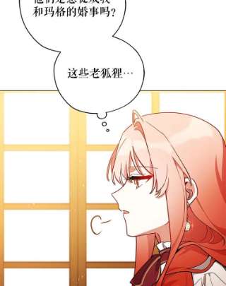 不可接近的女士30.老狐狸
