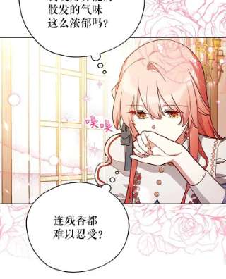 不可接近的女士32.另一面