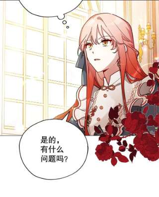 不可接近的女士32.另一面