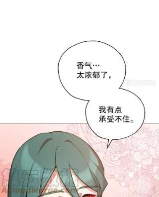 不可接近的女士32.另一面