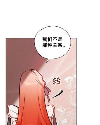 不可接近的女士32.另一面