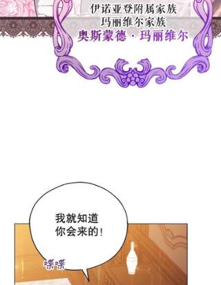 不可接近的女士33.聚会
