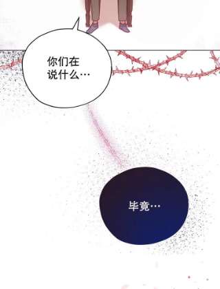 不可接近的女士33.聚会