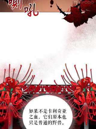 不可接近的女士34.畸形魔物