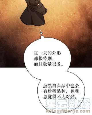 不可接近的女士34.畸形魔物