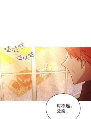 不可接近的女士36.埃梅里派对