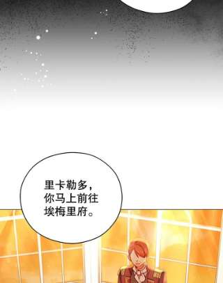 不可接近的女士36.埃梅里派对