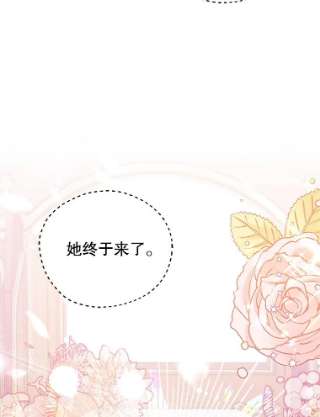 不可接近的女士36.埃梅里派对