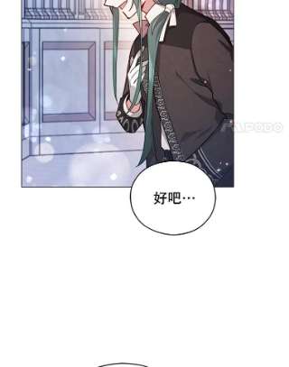 不可接近的女士36.埃梅里派对