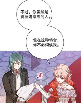 不可接近的女士36.埃梅里派对