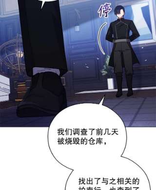 不可接近的女士36.埃梅里派对