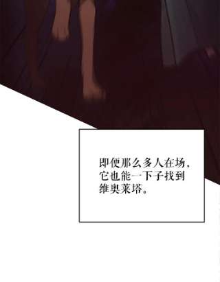 不可接近的女士39.憎恨