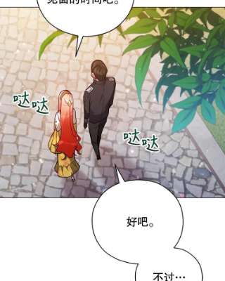 不可接近的女士42.结界