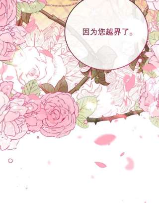 不可接近的女士42.结界