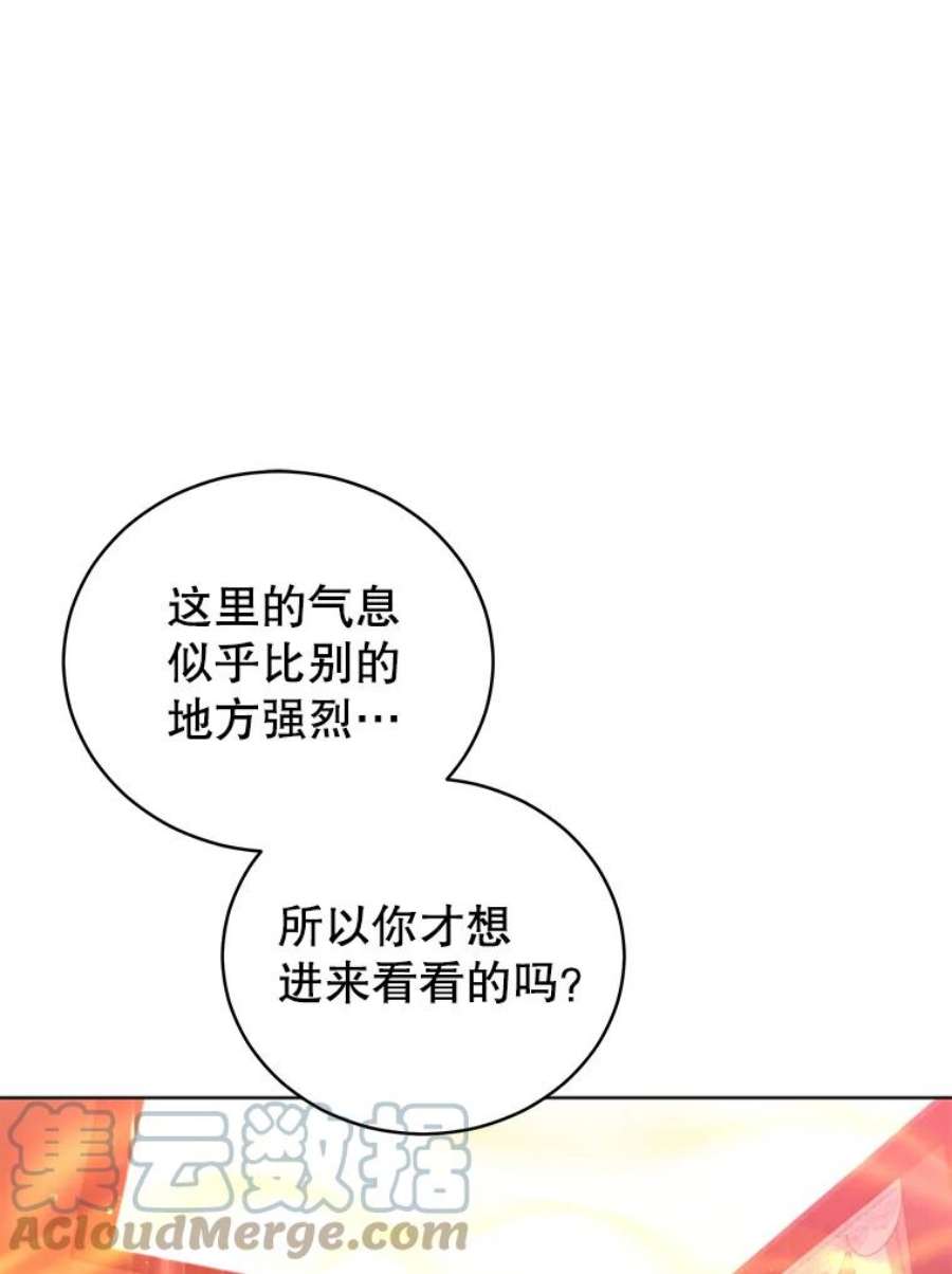 不可接近的女士49.奇怪的镜子