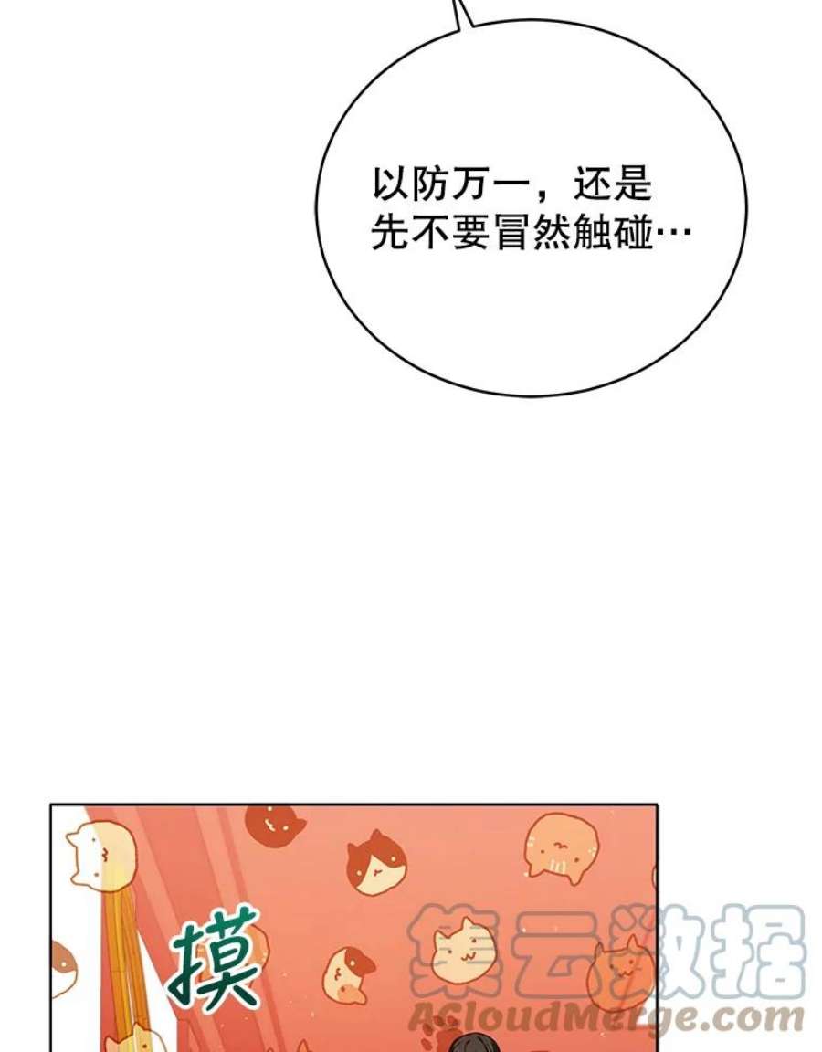 不可接近的女士49.奇怪的镜子