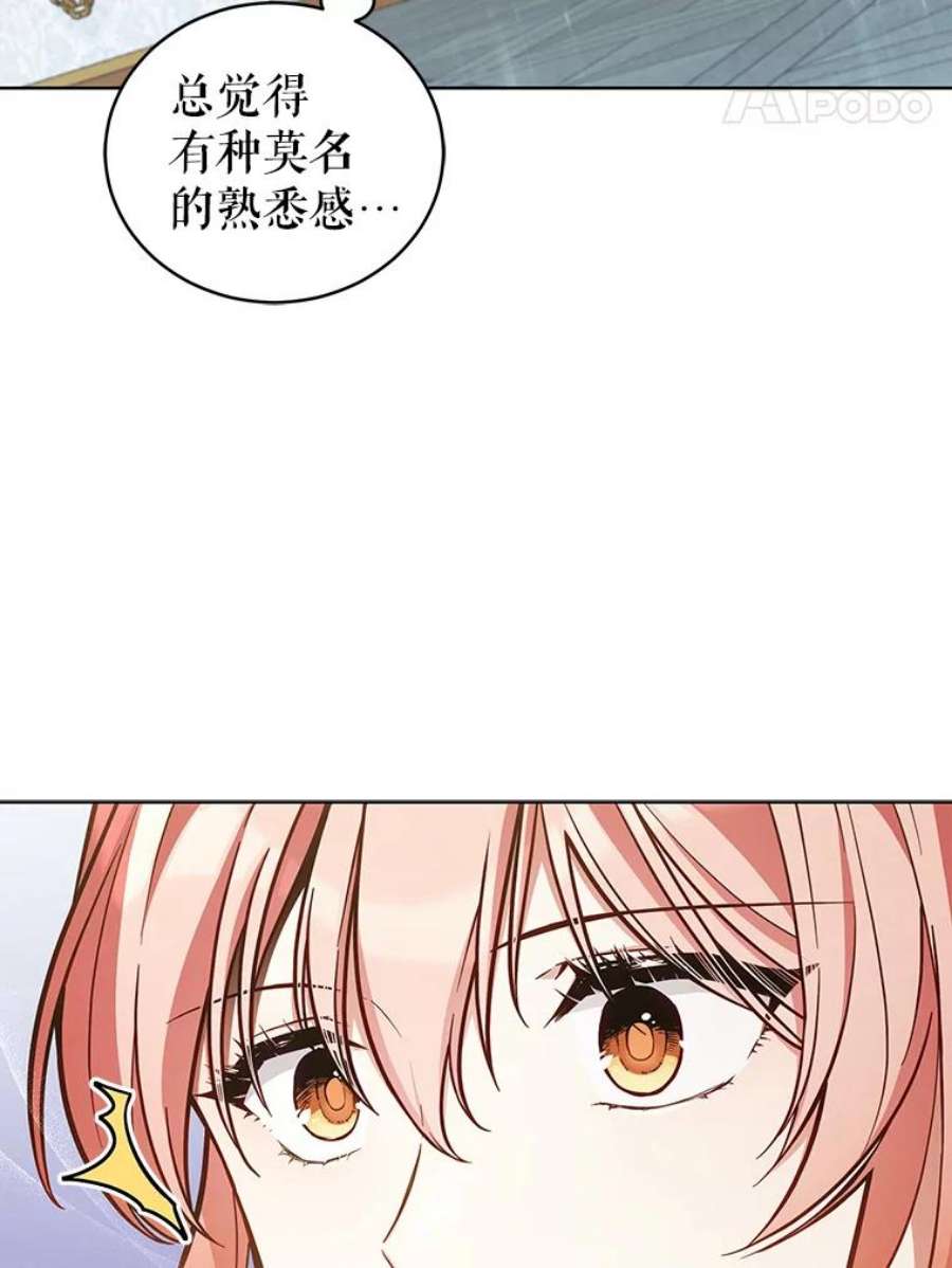 不可接近的女士50.画
