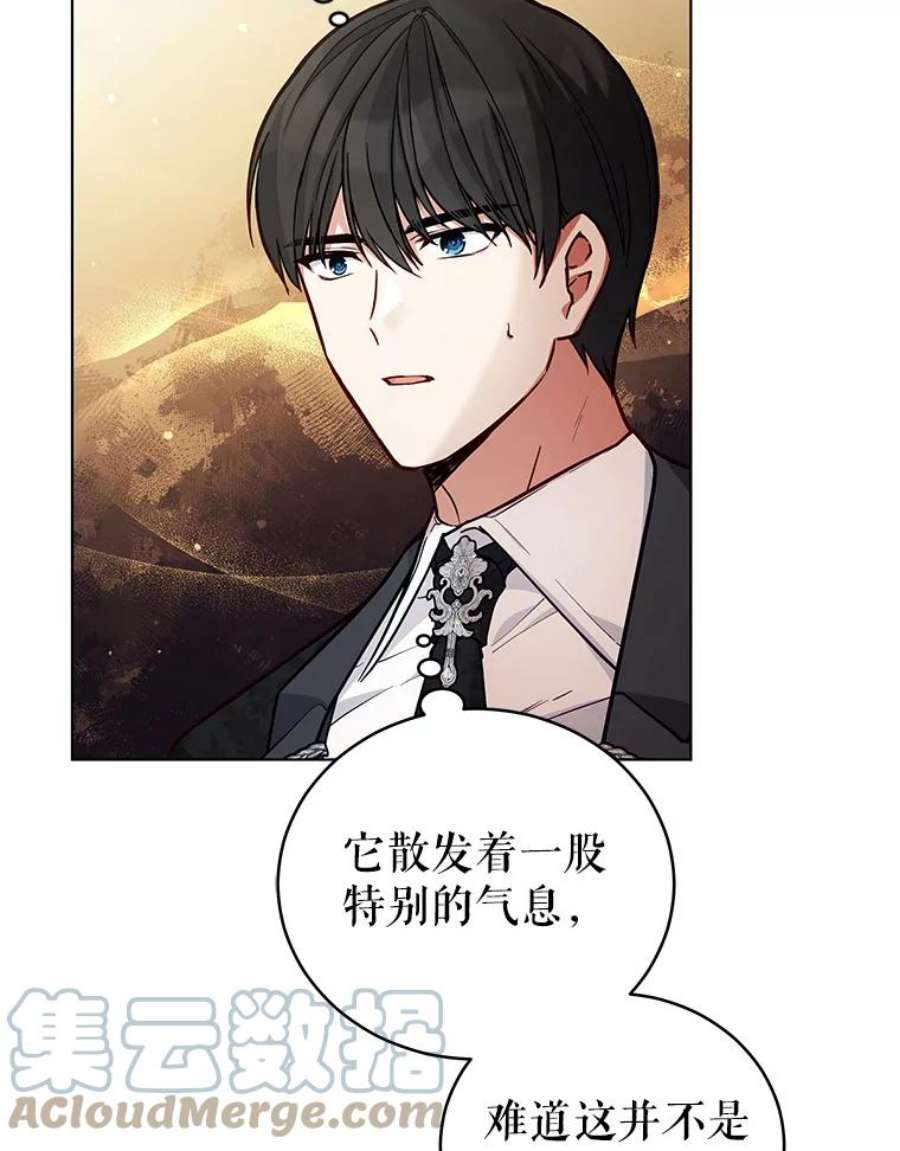 不可接近的女士50.画