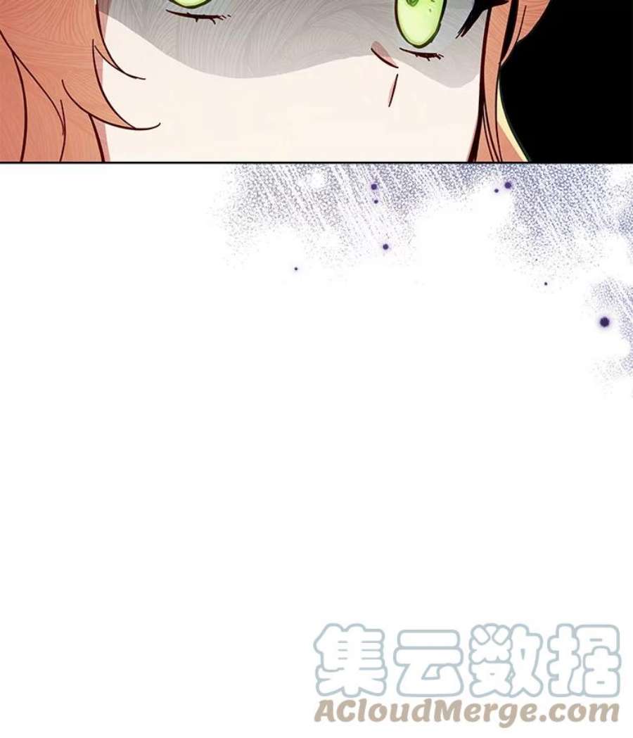 不可接近的女士57.观赏植物