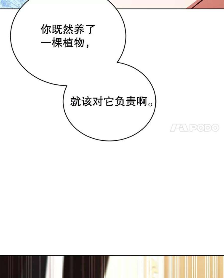 不可接近的女士57.观赏植物