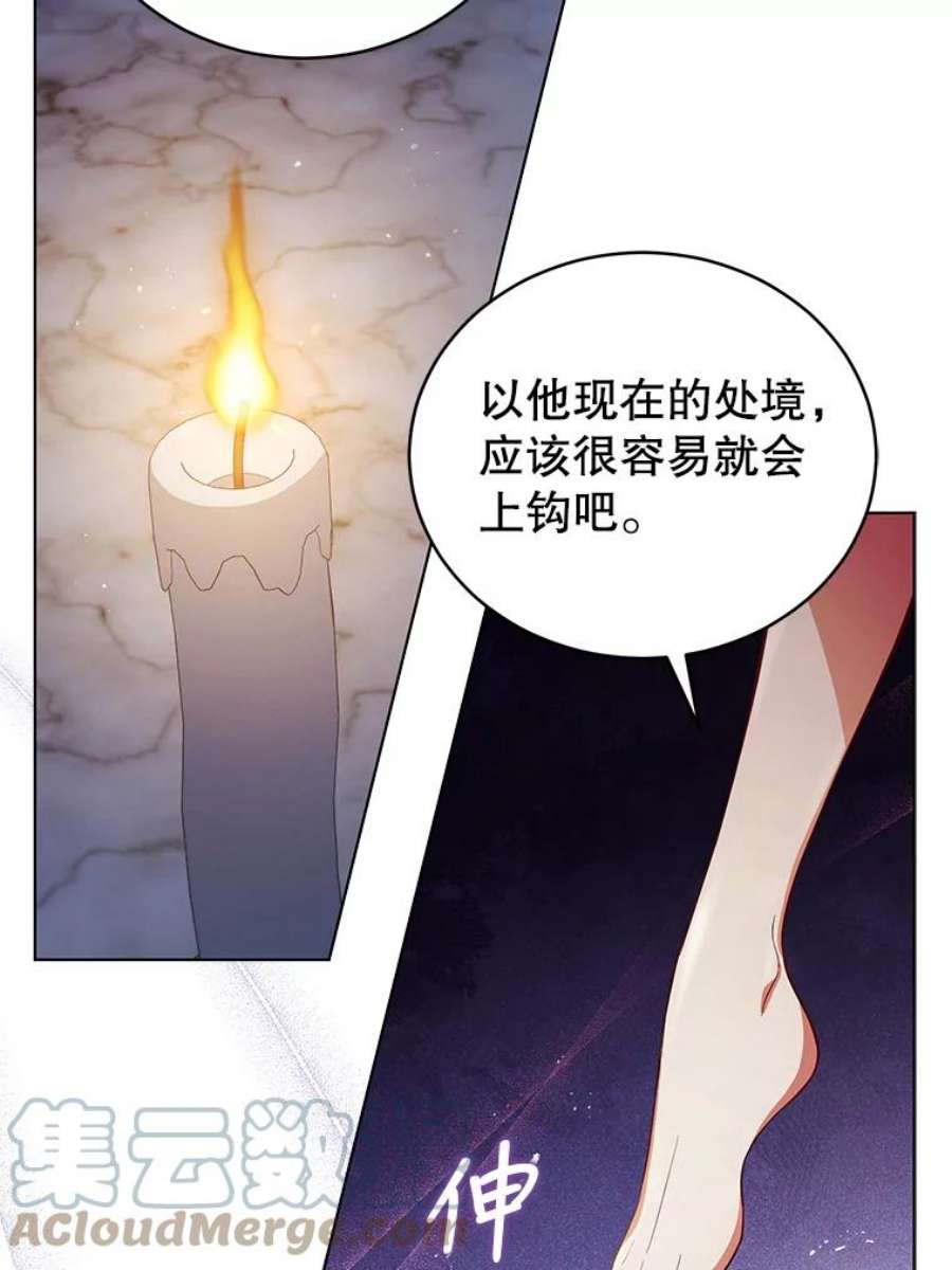 不可接近的女士57.观赏植物