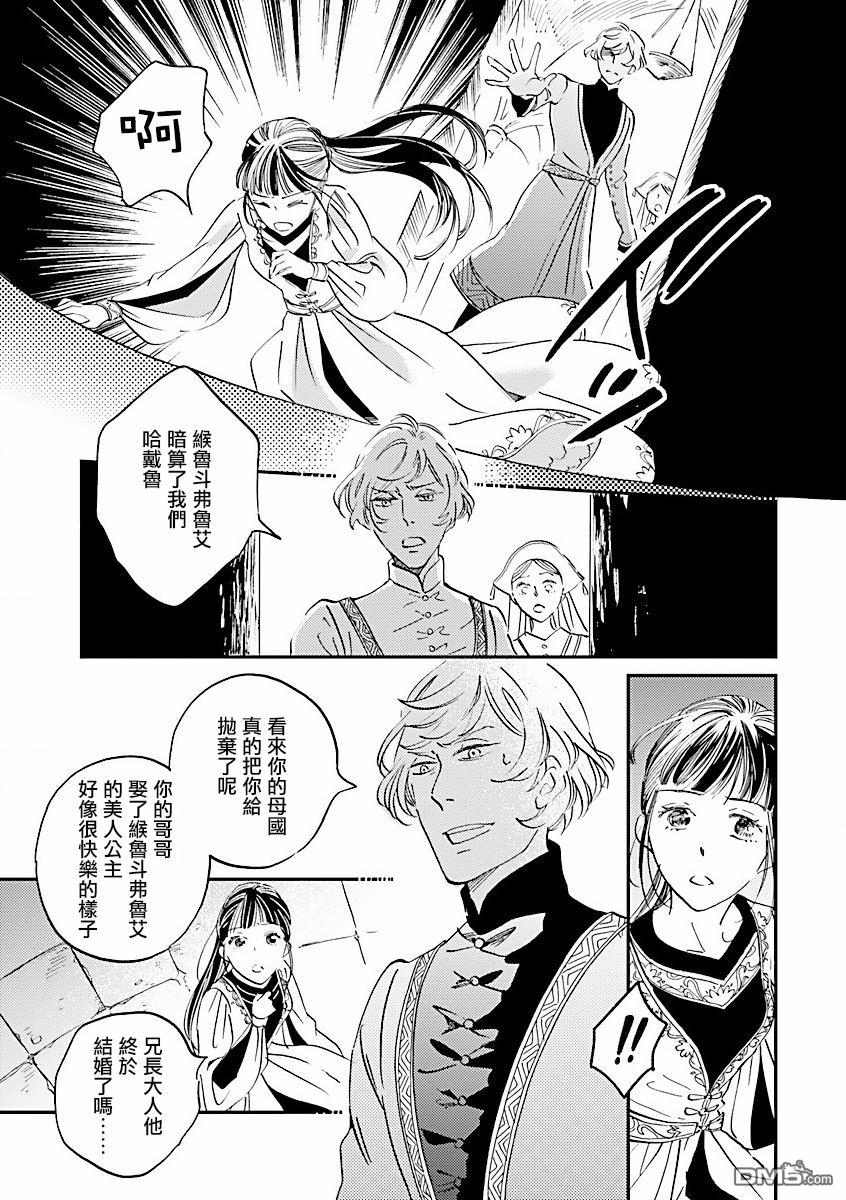 艾拉和异国的王第8话