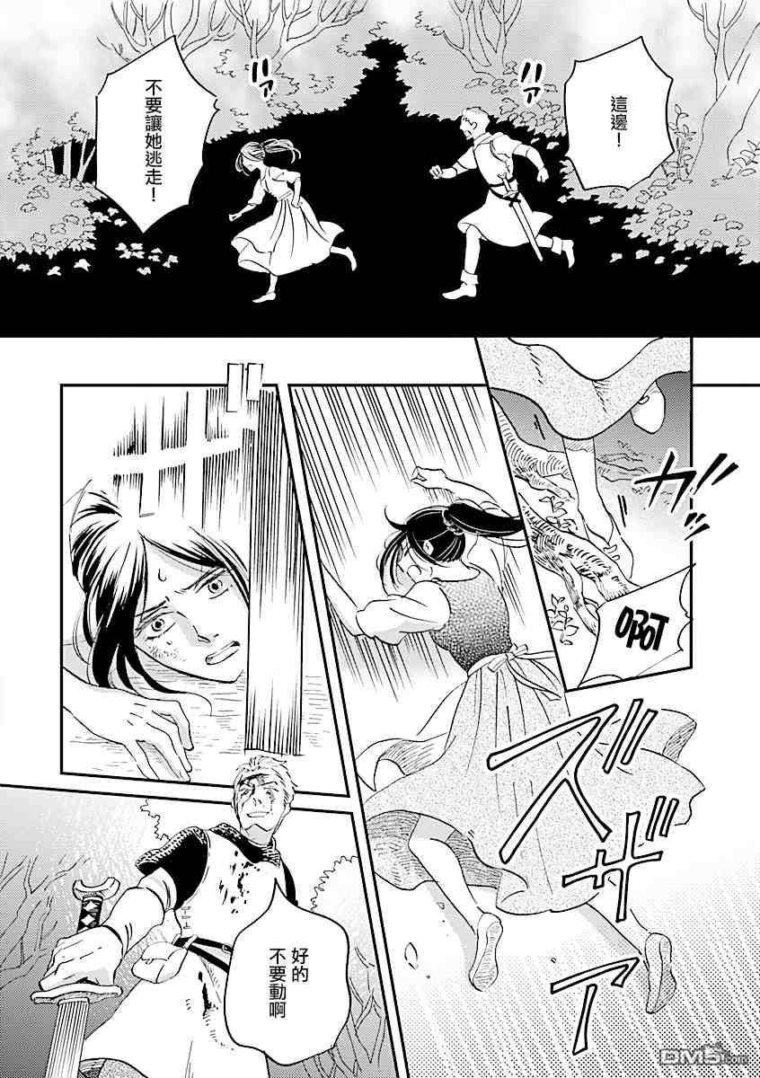 艾拉和异国的王第26话