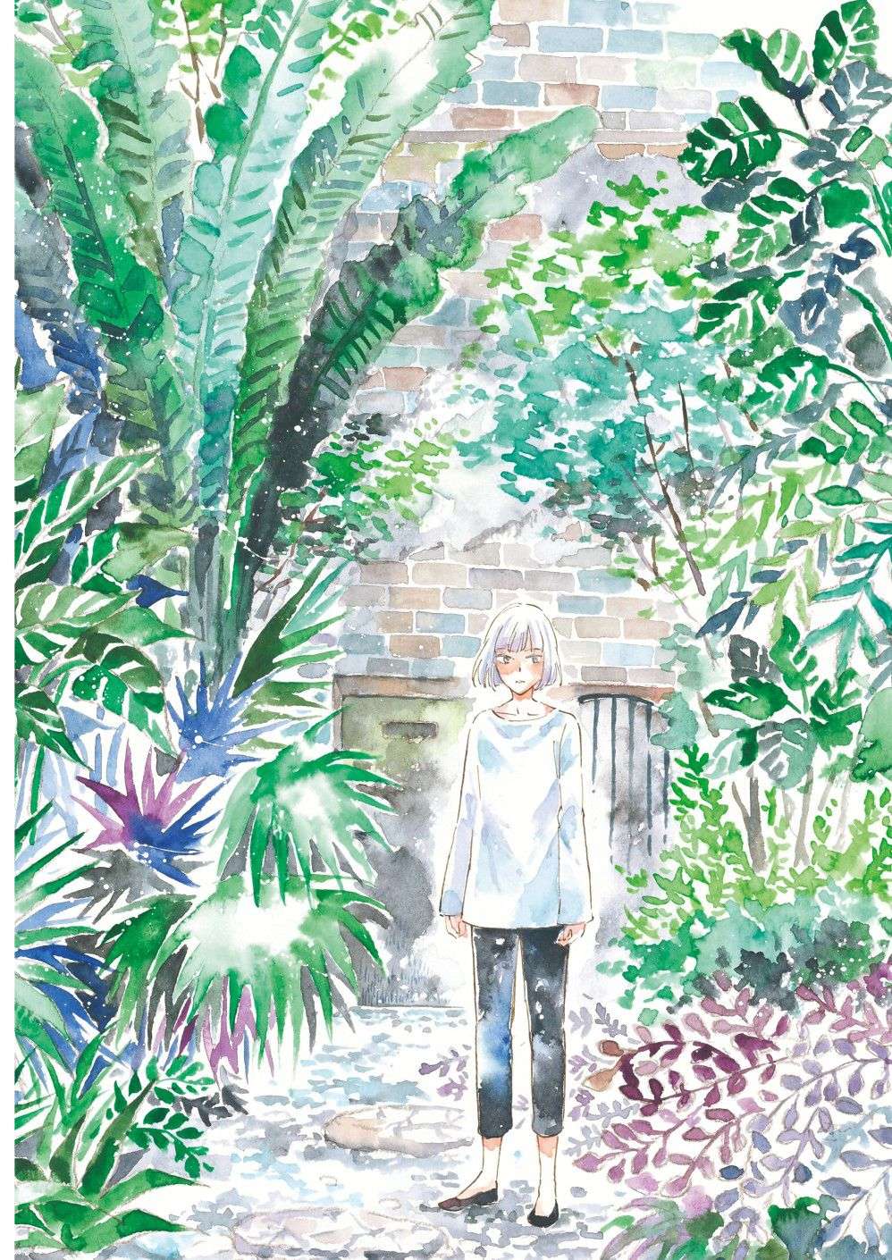 极彩之家第27话