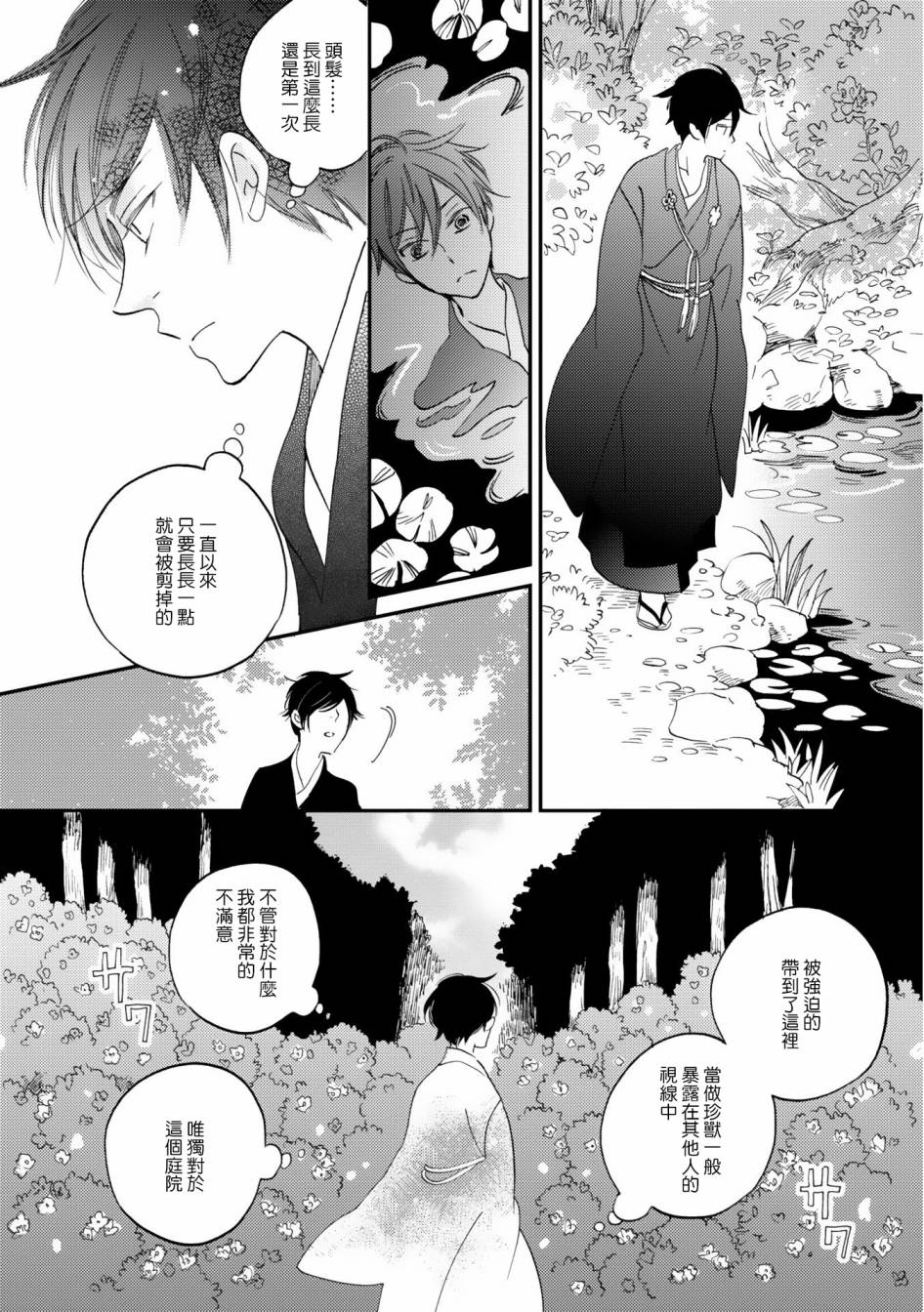 极彩之家第1话