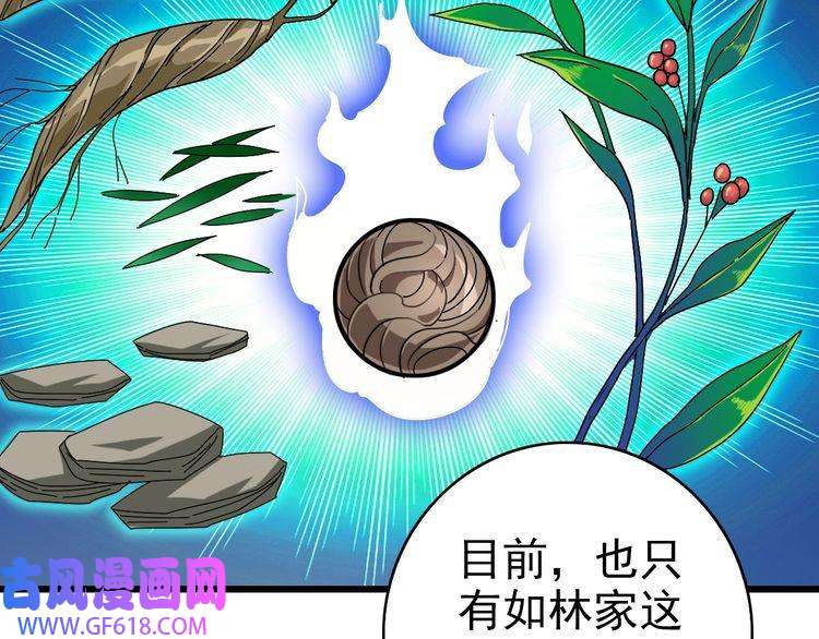 超神道术第103话 弃子