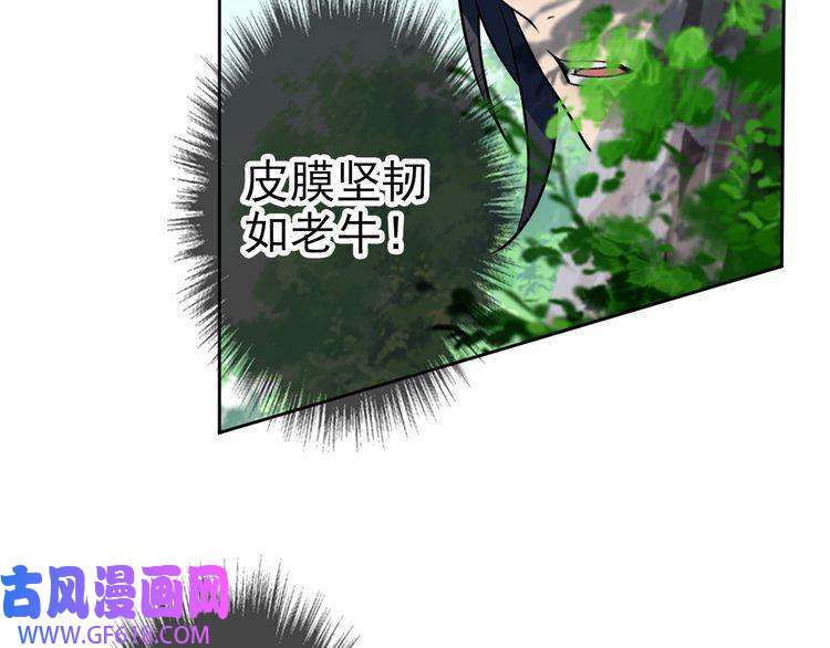 超神道术第16话 激战
