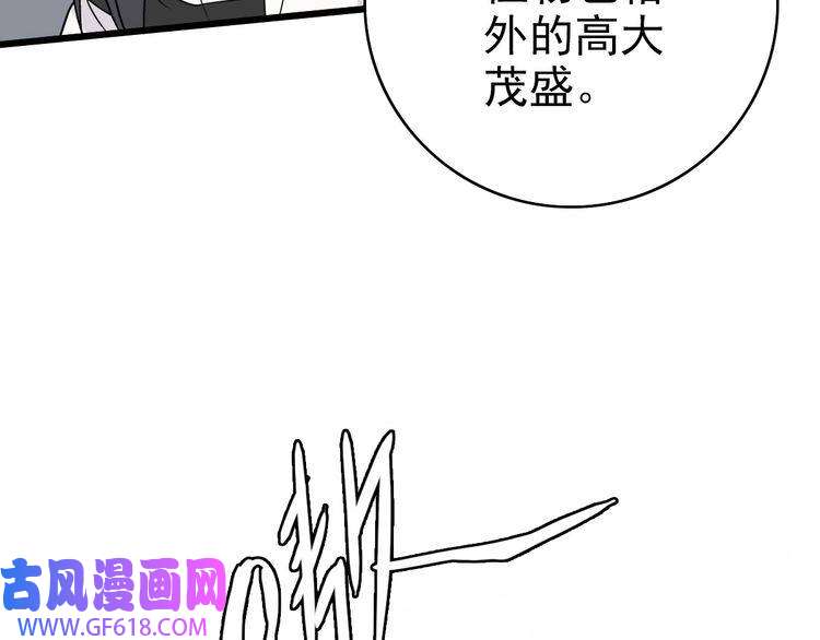 超神道术第33话 精怪
