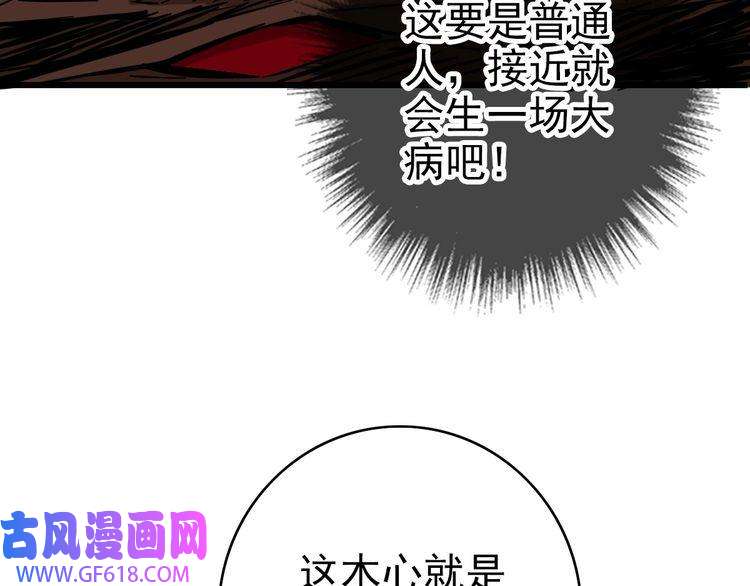 超神道术第35话 双重圆满