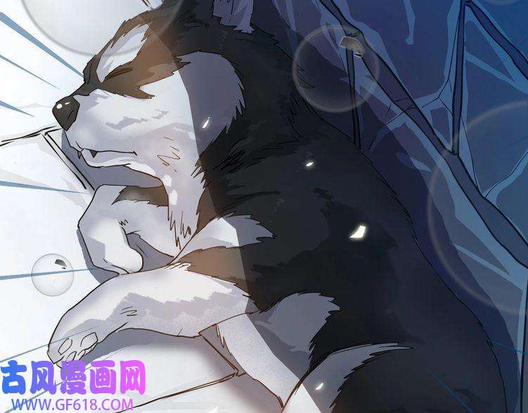 超神道术第41话 灭门案