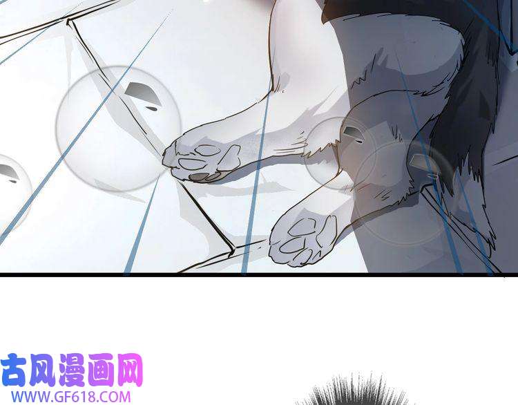 超神道术第41话 灭门案