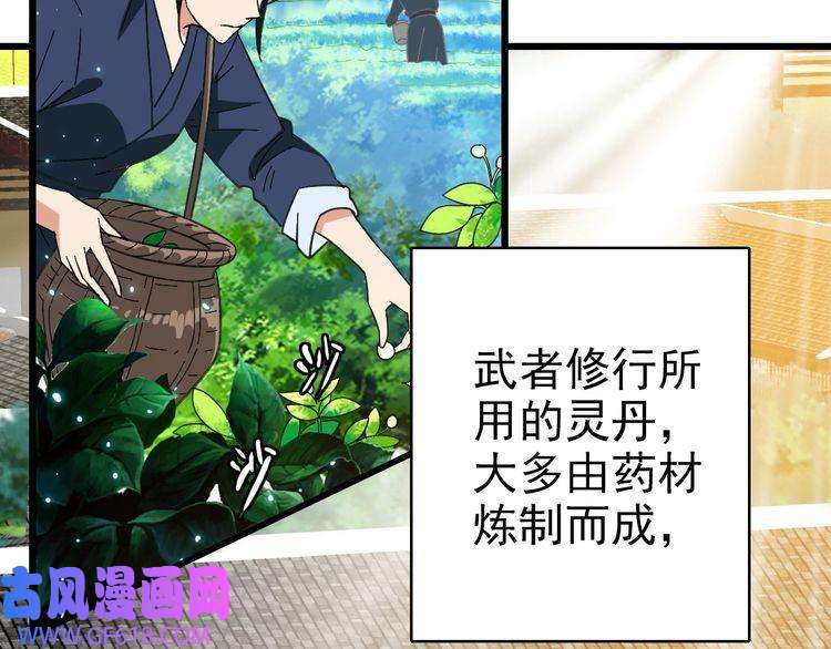 超神道术第71话 发配药园