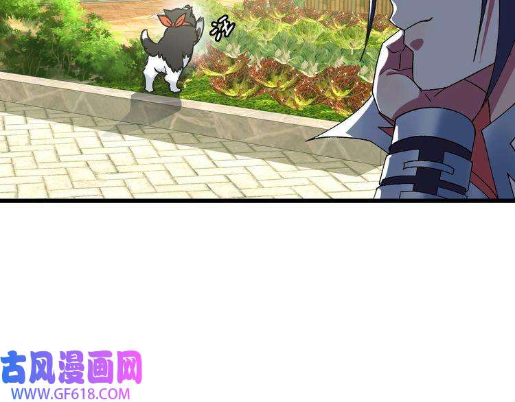 超神道术第74话 九印派